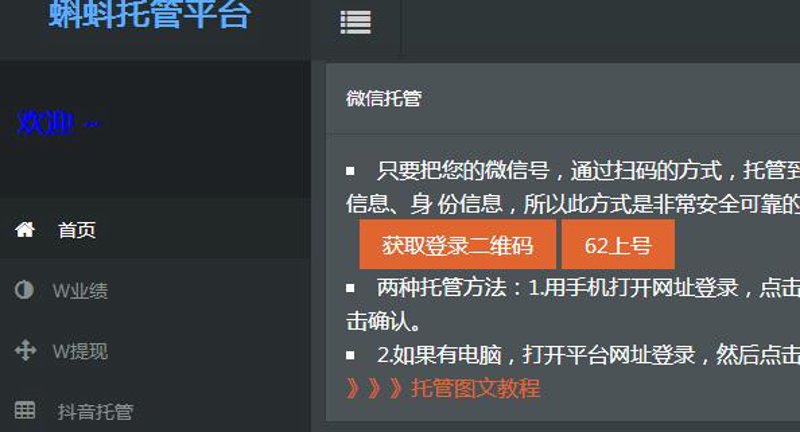 站群程序出售市场观察：从技术架构到算法对抗的专业分析